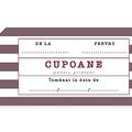 Copertă produs Cupoane - pentru prieteni - gallery small 