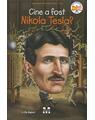 Copertă produs Cine a fost Nikola Tesla? - thumb 1