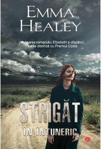 Copertă produs Strigăt în întuneric (Carte pentru toți)