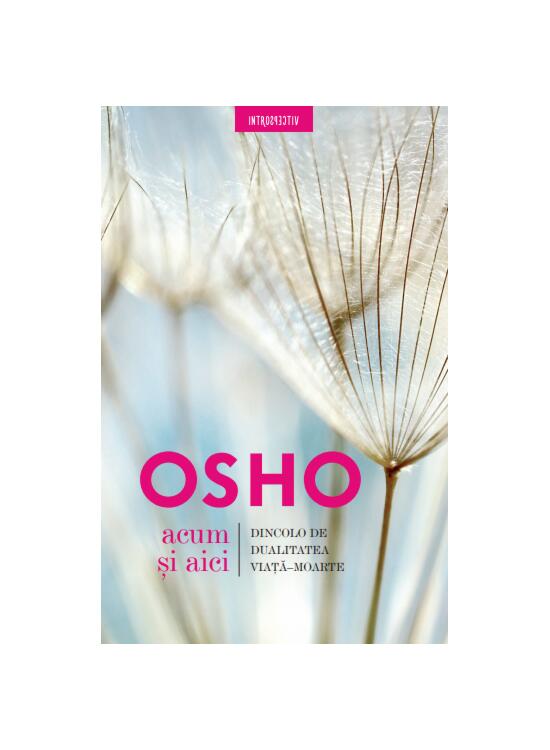 Copertă produs Osho. Acum și aici - gallery big 1