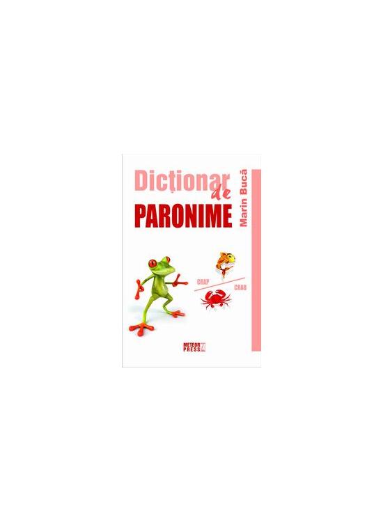 Copertă produs Dicţionar de paronime - gallery big 1