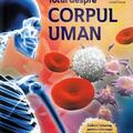 Copertă produs Totul despre corpul uman - gallery small 
