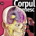 Copertă produs Corpul omenesc. Insiders - gallery small 