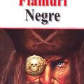 Copertă produs Flamuri negre - gallery small 