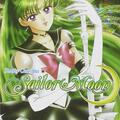 Copertă produs Sailor Moon Vol.9 - gallery small 