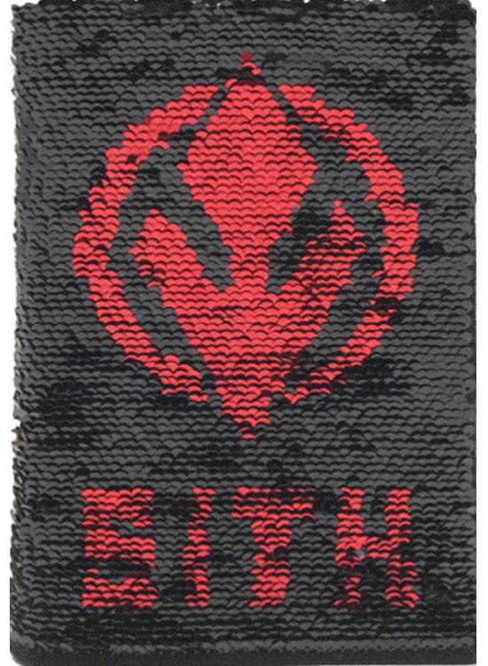 Copertă produs Star Wars: The Rise of Skywalker (Choose Your Path) - Notebook Premium A5 - gallery big 2