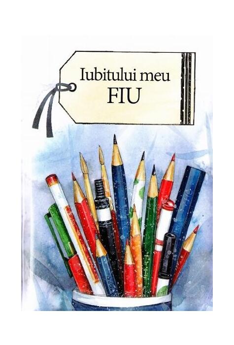 Copertă produs Iubitului meu fiu