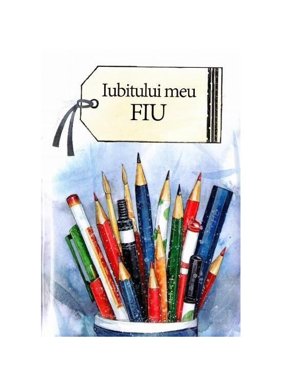 Copertă produs Iubitului meu fiu - gallery big 1