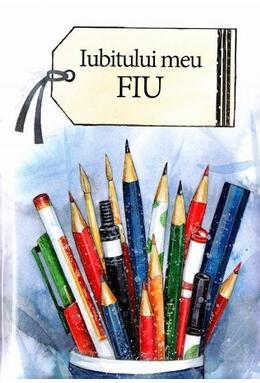 Copertă produs Iubitului meu fiu