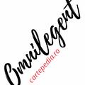 Copertă produs Sticker Omnilegent - gallery small 