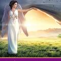 Copertă produs Povestiri spirituale extraordinare pline de t&acirc;lcuri ascunse - gallery small 