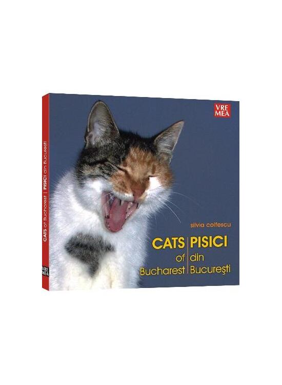 Copertă produs Pisici din București - Cats of Bucharest - gallery big 2