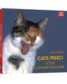 Copertă produs Pisici din București - Cats of Bucharest - thumb 2