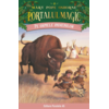Copertă produs Portalul magic. Pe urmele indienilor (Vol. 18)