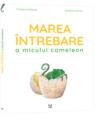 Copertă produs Marea &icirc;ntrebare a micului cameleon - thumb 2