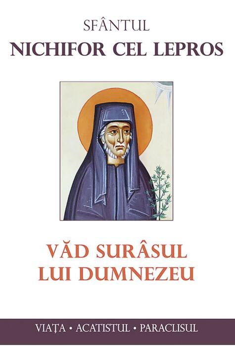 Copertă produs Văd sur&acirc;sul lui Dumnezeu