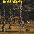 Copertă produs Sputnik &icirc;n grădină - gallery small 