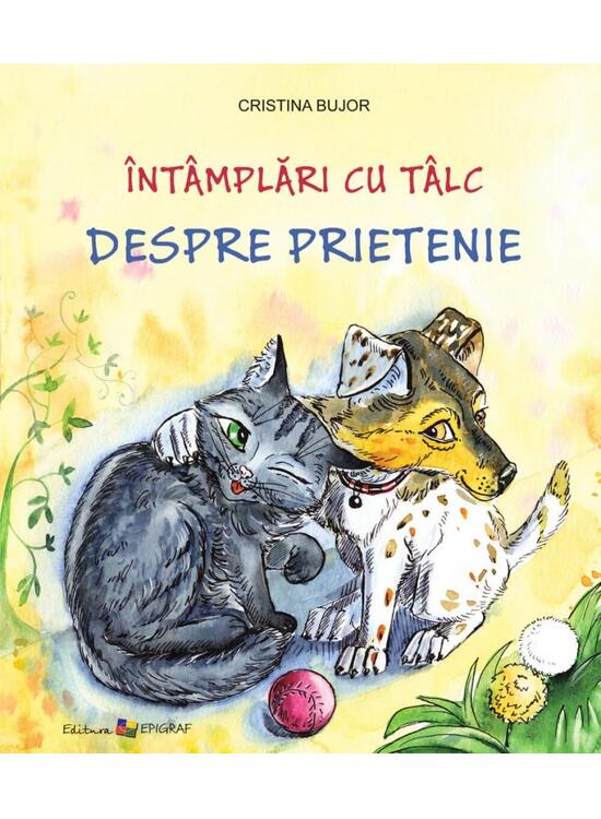 Copertă produs &Icirc;nt&acirc;mplări cu t&acirc;lc. Despre prietenie - gallery big 1