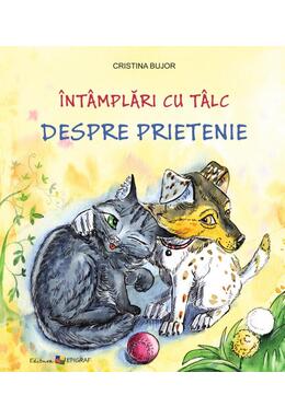 Copertă produs &Icirc;nt&acirc;mplări cu t&acirc;lc. Despre prietenie