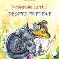 Copertă produs &Icirc;nt&acirc;mplări cu t&acirc;lc. Despre prietenie - gallery small 