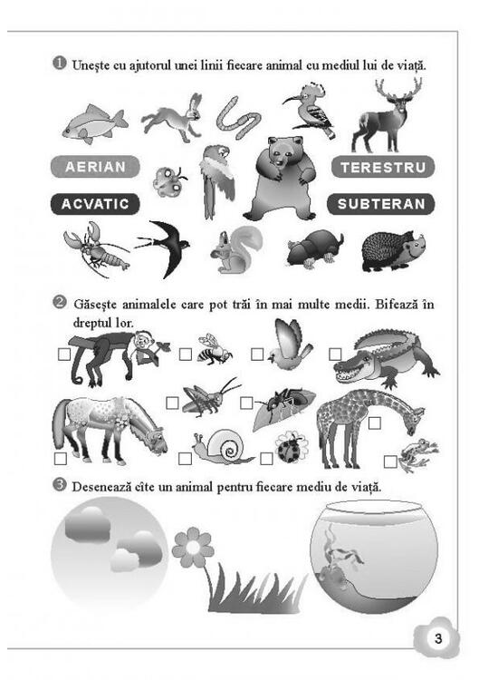 Copertă produs Lumea din jur. Caiet de activități - gallery big 2