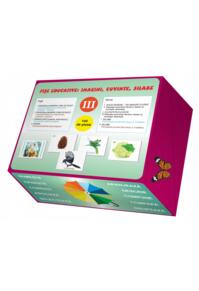 Copertă produs Fi​ș​e educative: imagini, cuvinte, silabe (III)