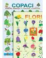 Copertă produs Planșe - Copaci și flori - thumb 2