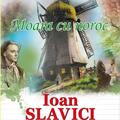 Copertă produs Moara cu noroc - gallery small 