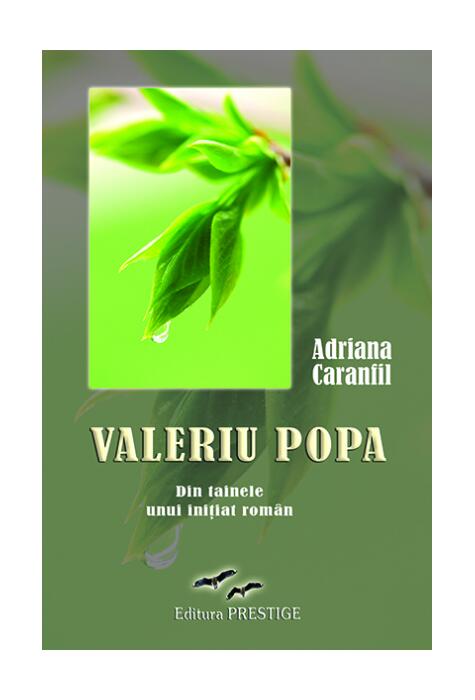 Copertă produs Valeriu Popa