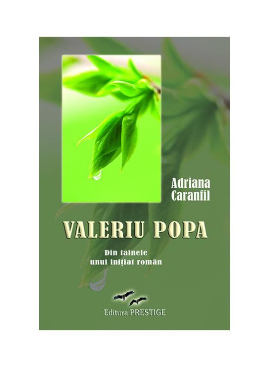 Copertă produs Valeriu Popa - gallery big 1
