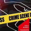 Copertă produs Insomniile unui prinț valah - gallery small 