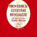 Copertă produs Proverbe și cugetări bengaleze - gallery small 