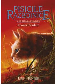 Copertă produs Ecouri Pierdute (Vol.20)