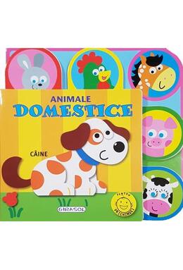 Copertă produs Animale domestice