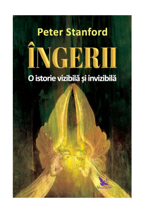 Copertă produs &Icirc;ngerii. O istorie vizibilă și invizibilă