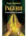 Copertă produs &Icirc;ngerii. O istorie vizibilă și invizibilă - thumb 1