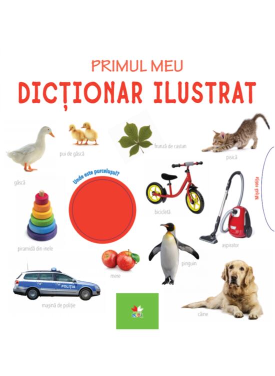 Copertă produs Primul meu dicționar ilustrat - gallery big 1