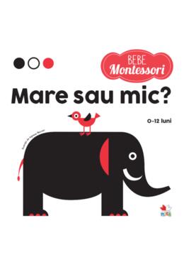 Copertă produs Mare sau mic?