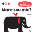 Copertă produs Mare sau mic?
