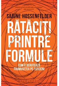 Copertă produs Rătăciți printre formule