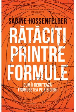 Copertă produs Rătăciți printre formule