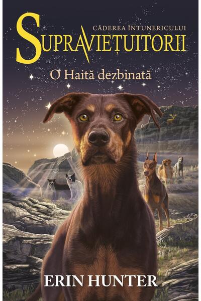O Haită dezbinată. Supraviețuitorii (Vol. 7)