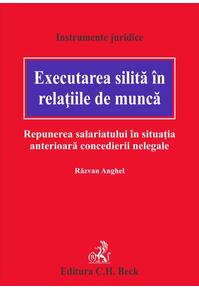Copertă produs Executarea silită în relaţiile de muncă