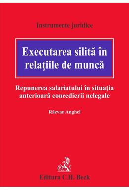 Copertă produs Executarea silită în relaţiile de muncă