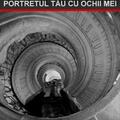 Copertă produs Portretul tău cu ochii mei - gallery small 