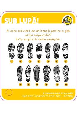 Copertă produs Enigme inteligente. Antrenează-ți creierul!