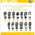 Copertă produs Enigme inteligente. Antrenează-ți creierul! - gallery small 