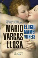 Imagine produs Elogiu mamei vitrege