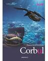 Copertă produs Corbul - thumb 1