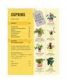 Copertă produs Cum să nu &icirc;ţi ucizi plantele de apartament - thumb 2